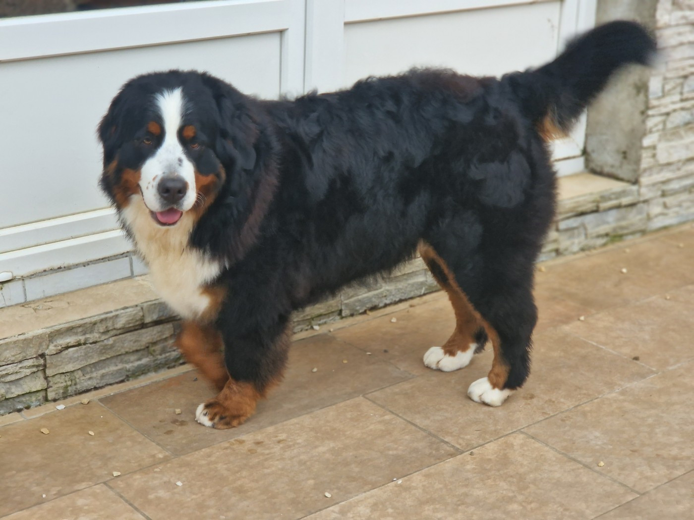 Vaguera  De La Coustille Ouest