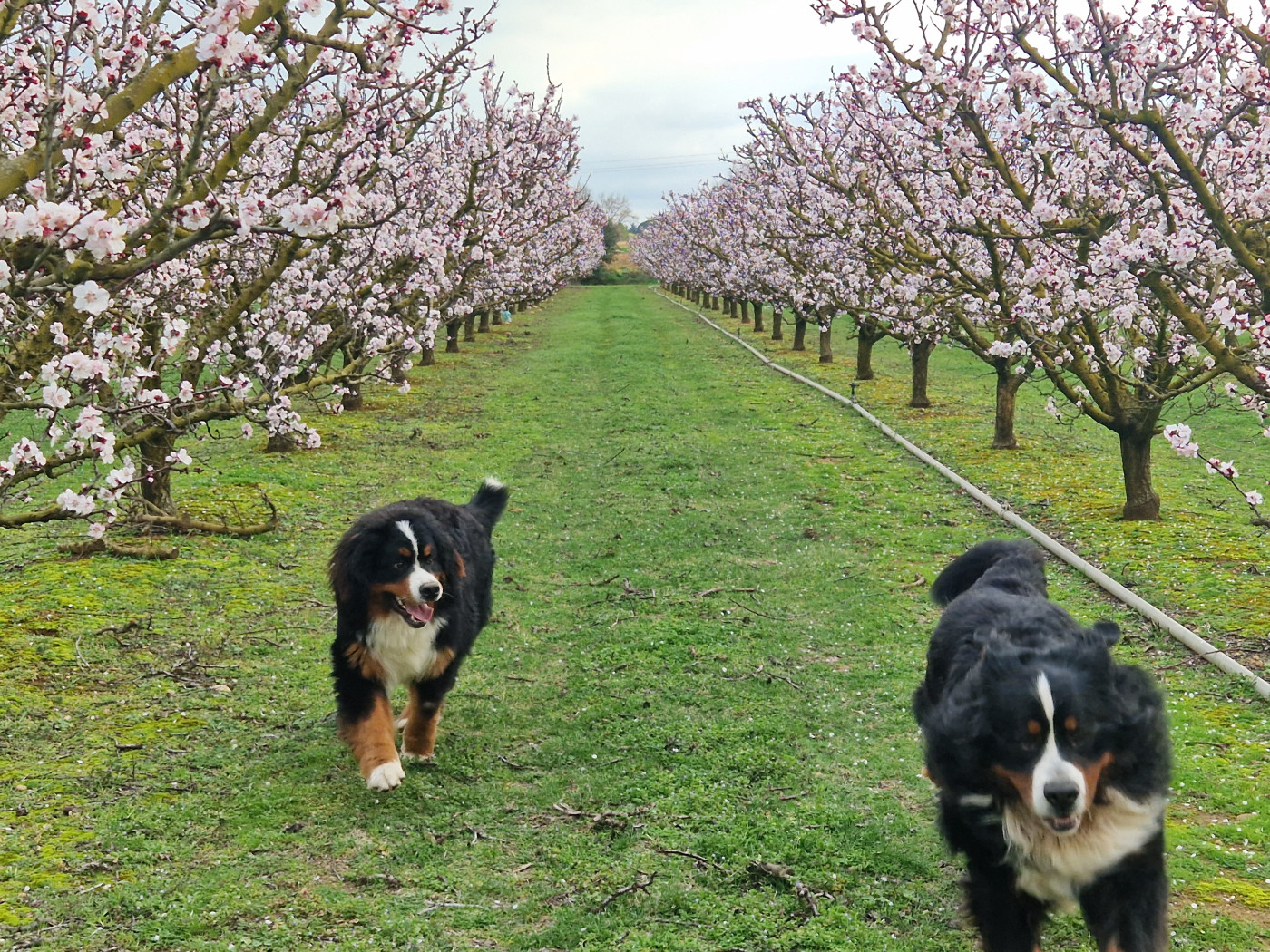 26/02/26: le printemps approche!