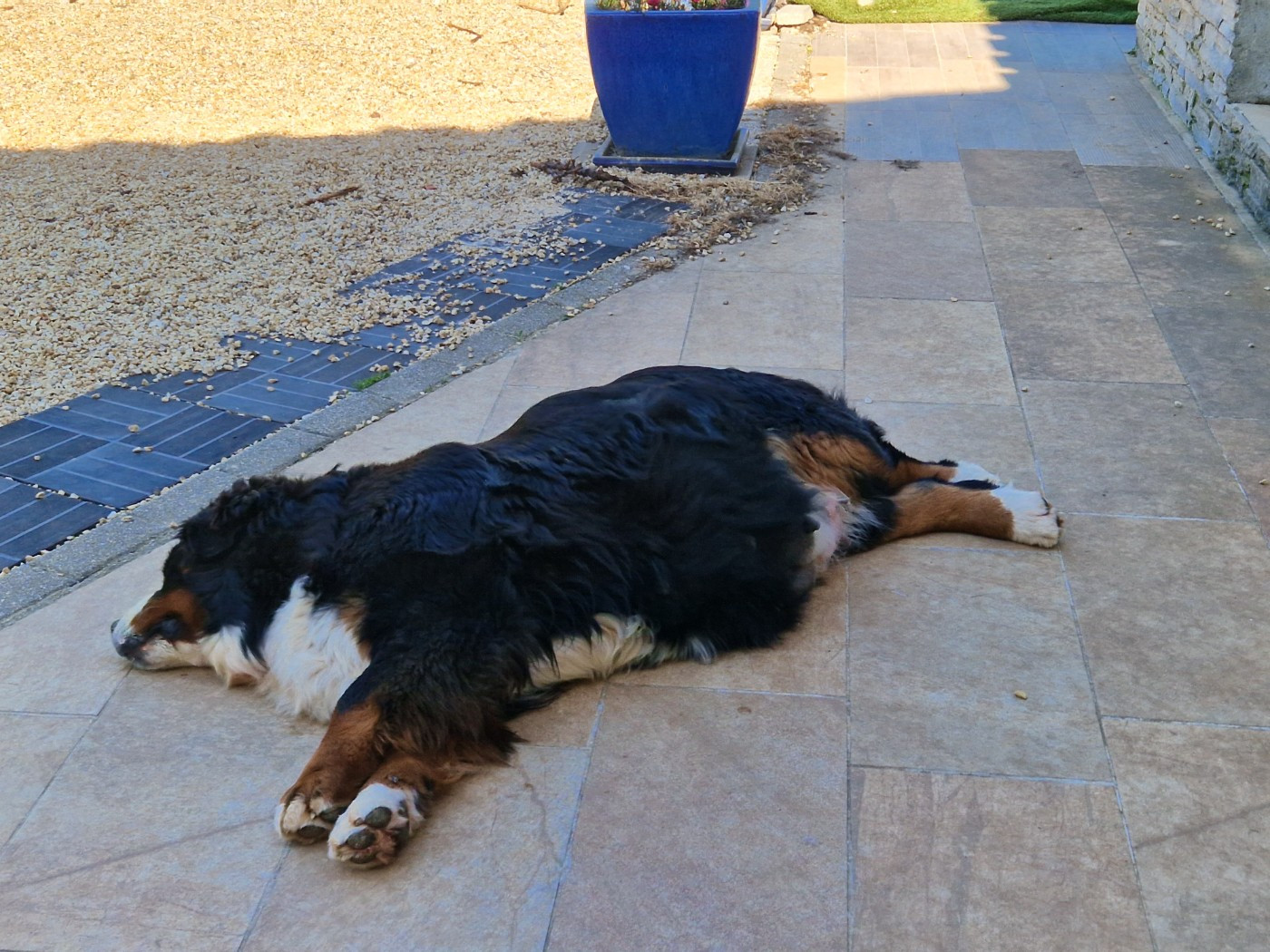Summer bientôt à terme