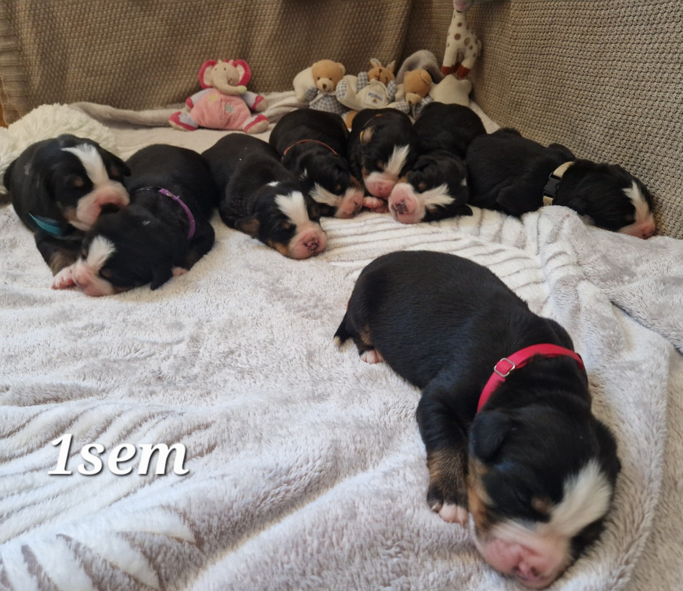 18/04/26: 1sem pour les beautes de summer